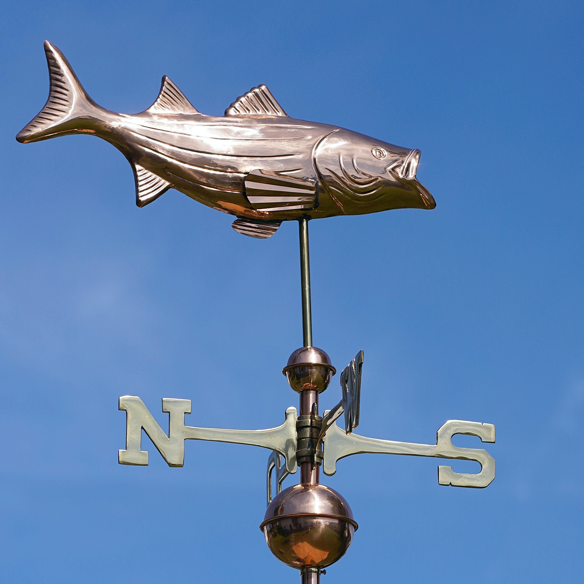 Großer Fisch Wetterfahne Geschenk Angler