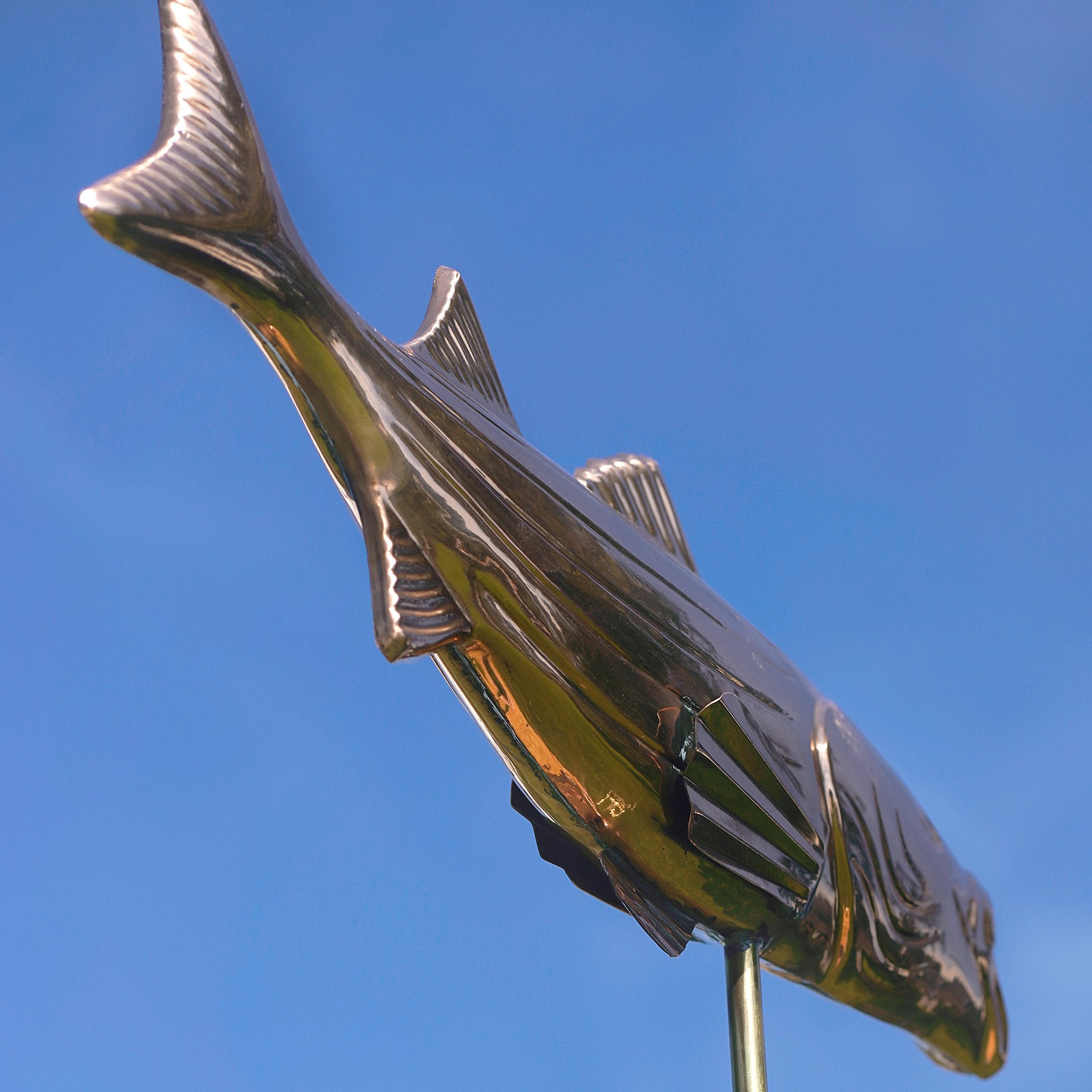 Flossenansicht Forelle Fisch Wetterfahne 