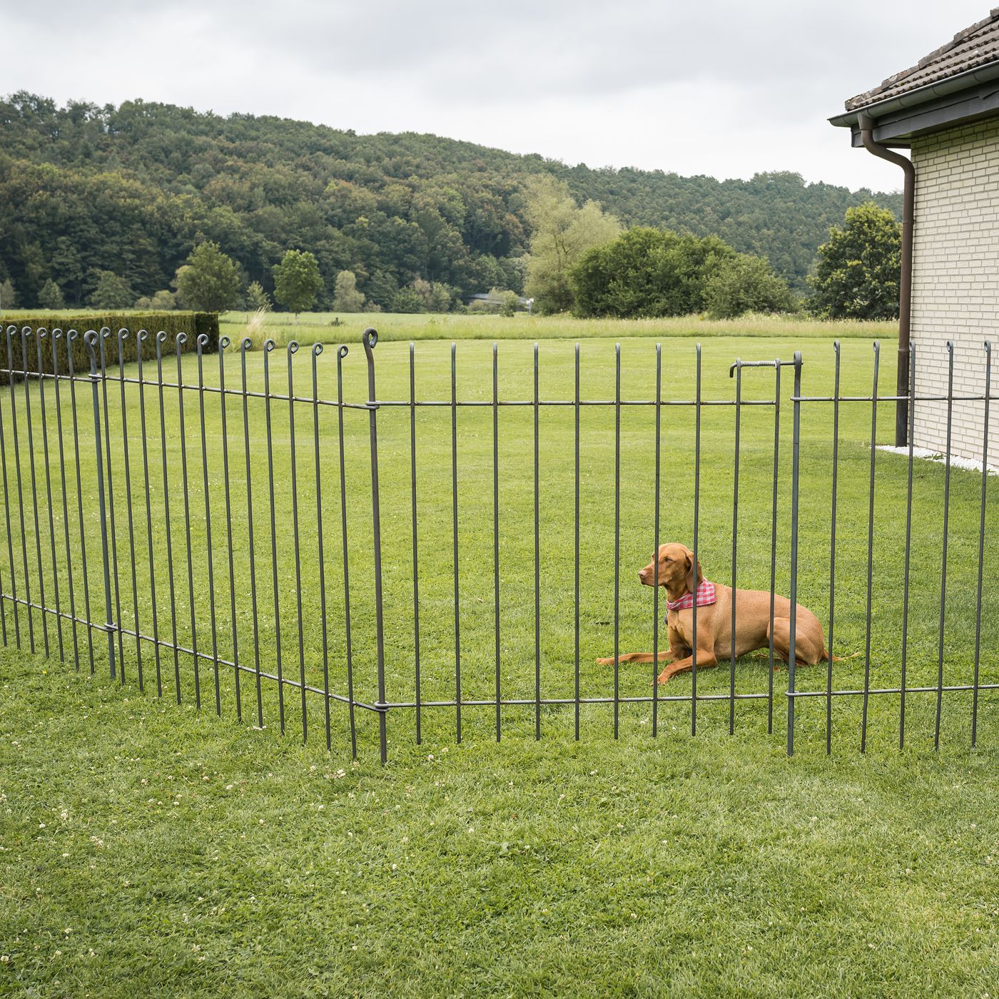  OUSHENG 35ft Green Garden Fence for Dog Pet, Easy